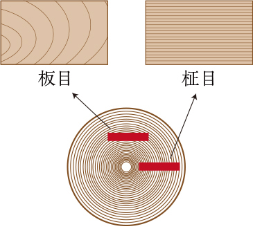 まな板の柾目と板目の違い